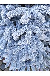 Artificial green cast snow-covered Christmas tree Bukovel 180 cm