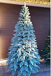 Künstlicher gegossener blauer Baum Vip Tree 230 cm