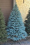 Artificial cast blue Christmas tree Bukovel 210 cm