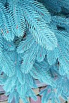 Artificial cast blue Christmas tree Premium 180 cm