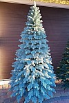 Albero artificiale in fusione blu Vip Tree 180 cm