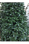 Albero di Natale Cast Green VIP canadese 230 cm