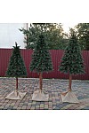 Weihnachtsbaum gegossen grün auf Baumstumpf Premium 220 cm