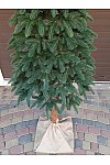 Christmas tree cast green on stump Premium 220 cm