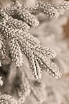 Albero di Natale in cast verde della Transcarpazia innevato 230 cm