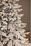 Christmas tree cast green snow-covered Transcarpathian 230 cm