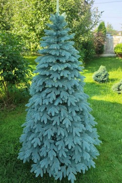 Künstlicher blau gegossener Elite-Weihnachtsbaum 180 cm